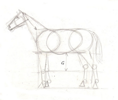 400x338 Drawing Lesson For Beginner Artists The Proportions Of A Horse