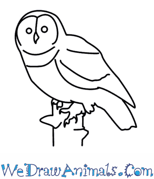 300x350 How To Draw An Owl