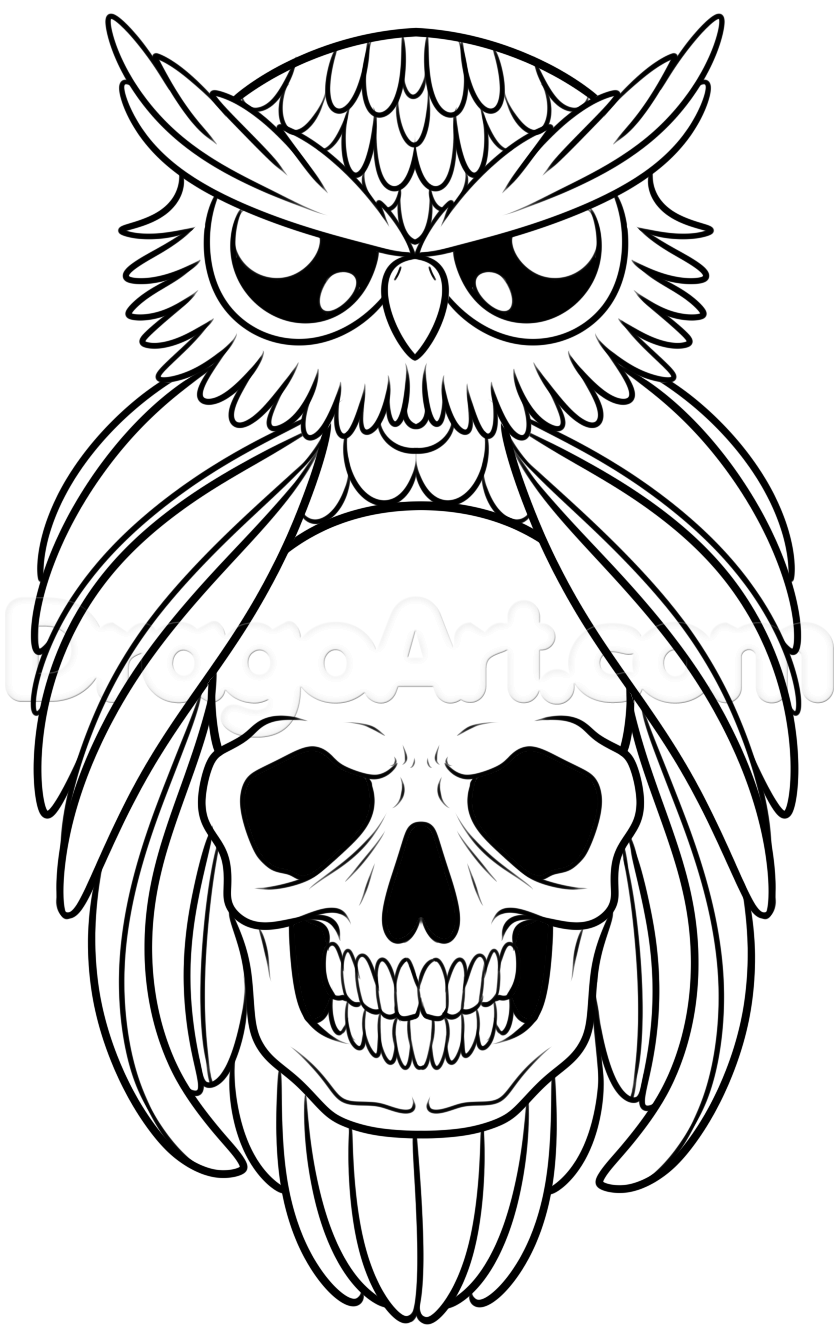 839x1334 How To Draw An Owl And Skull Tattoo, Step By Step, Tattoos, Pop