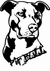 200x280 Pit Bull Tattoo Designs Lovetoknow