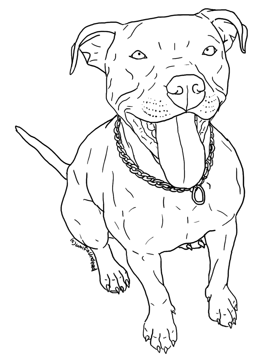 900x1190 Pit Bull Coloring Pages Coloring Page For Kids