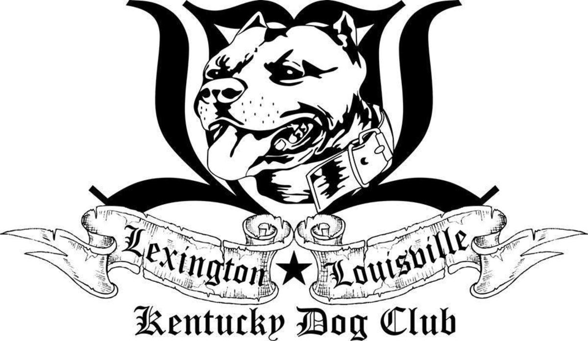 1200x697 Bully Pitbull Drawing American Fun Drawings Of Pitbulls