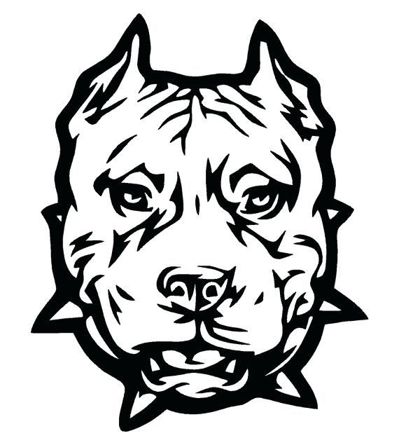 570x635 Coloring Pages Of Pit Bulls Coloring Pages Plus Pin Drawn Pit Bull