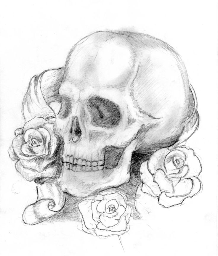 736x865 The Best Skull And Rose Drawing Ideas On Skull