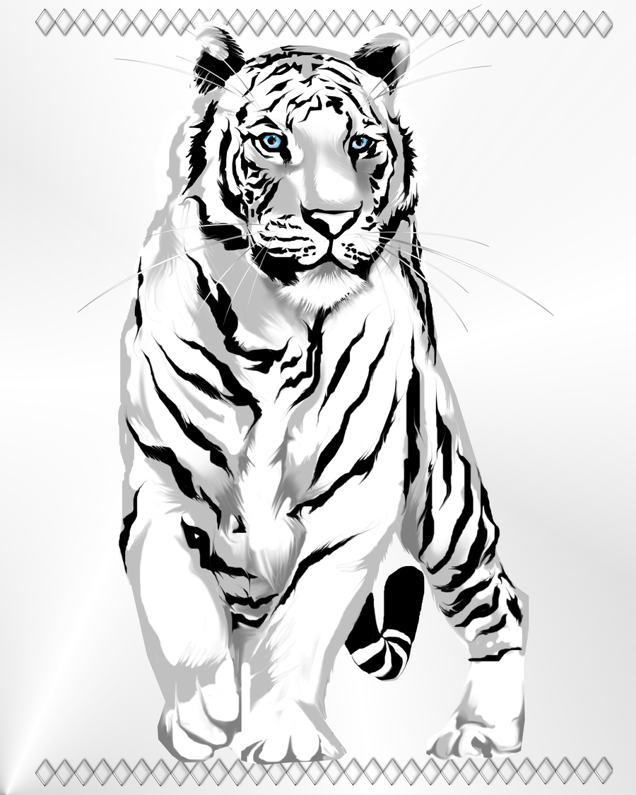 900x1125 Stately White Tiger By Lotacats05