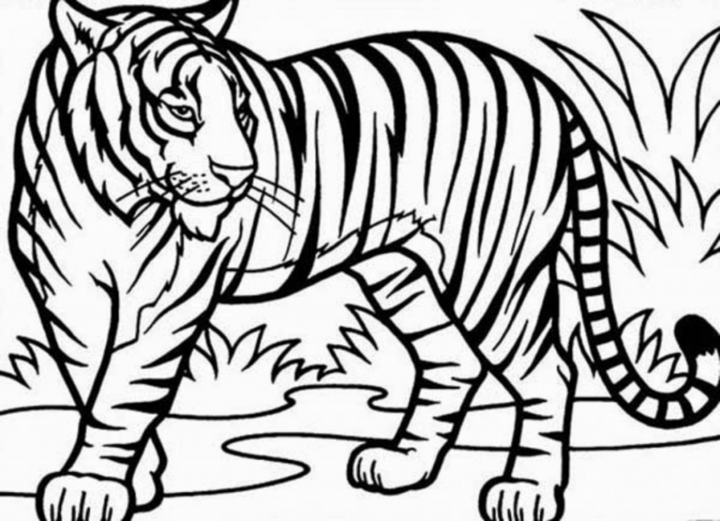 1024x741 Tiger Drawing For Children Coloring Page Of A Tiger Archives