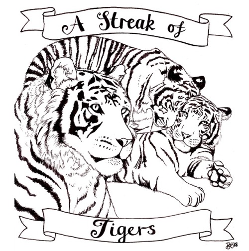 500x504 Ink Tiger Drawing Tumblr