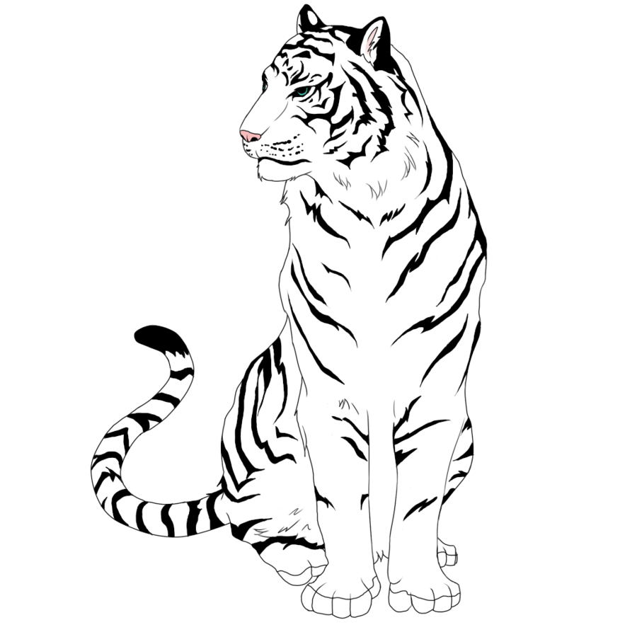 900x900 Tiger Eyes Drawing White Tiger By Sundanceandstar D5clv4k.png (900