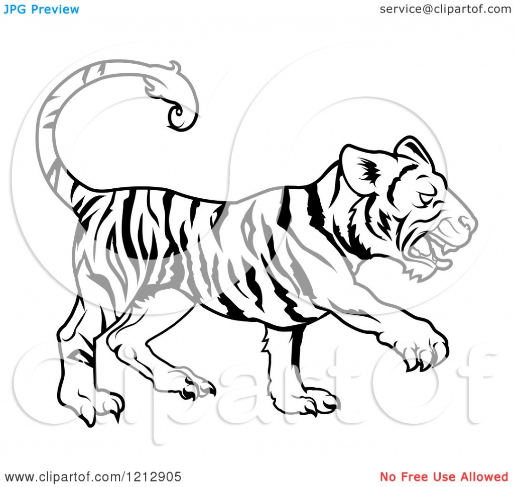 1024x970 Cartoon Drawings Of Tigers Cartoon Drawings Of Tigers