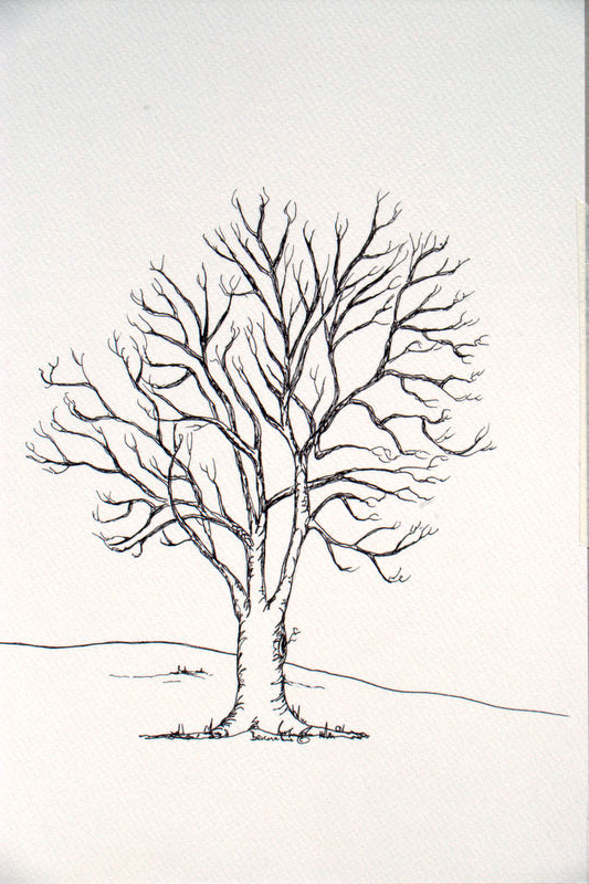 533x800 Drawn Tree