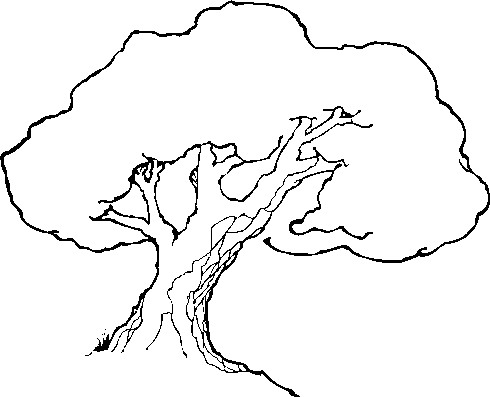 490x397 Tree Line Drawing Clip Art