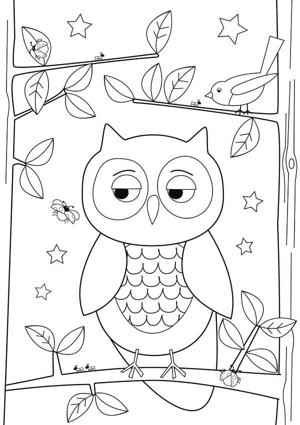 600x849 Simple Owl Drawing For Kids