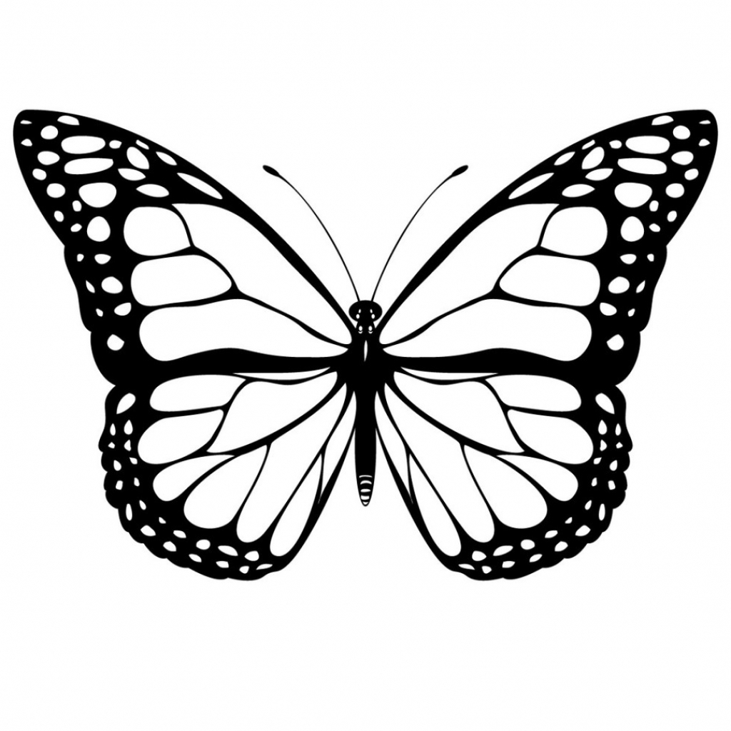 1024x1024 Realistic Butterfly Drawings How To Draw A Realistic Butterfly