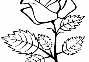 300x210 Rose Flower Drawing Pictures Drawing A Rose Flower With Simple