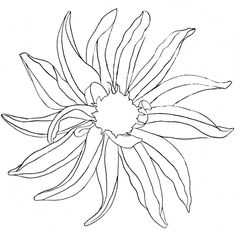 236x236 How to draw flowers.jpg Painting, Drawing Paintings