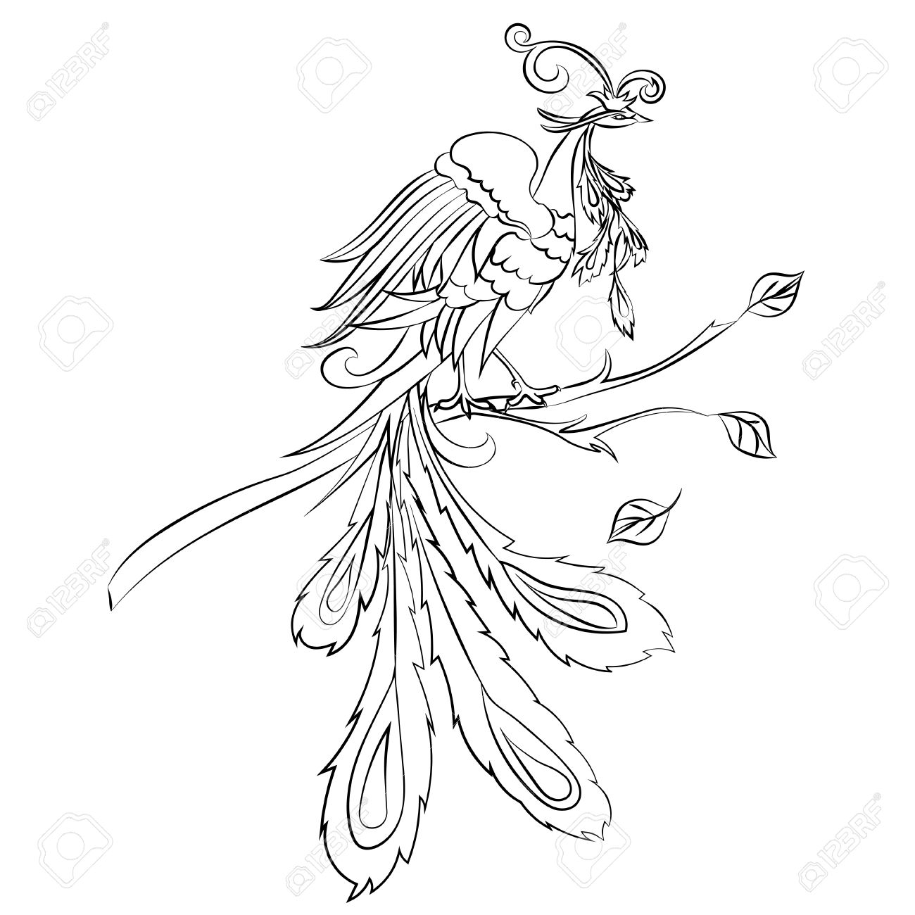 1300x1300 Black Sketch Drawing Of Fire Bird Are On A White Background