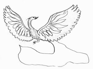 300x222 How To Draw A Fire Bird