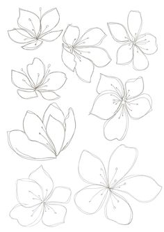 236x333 How To Draw Flowers