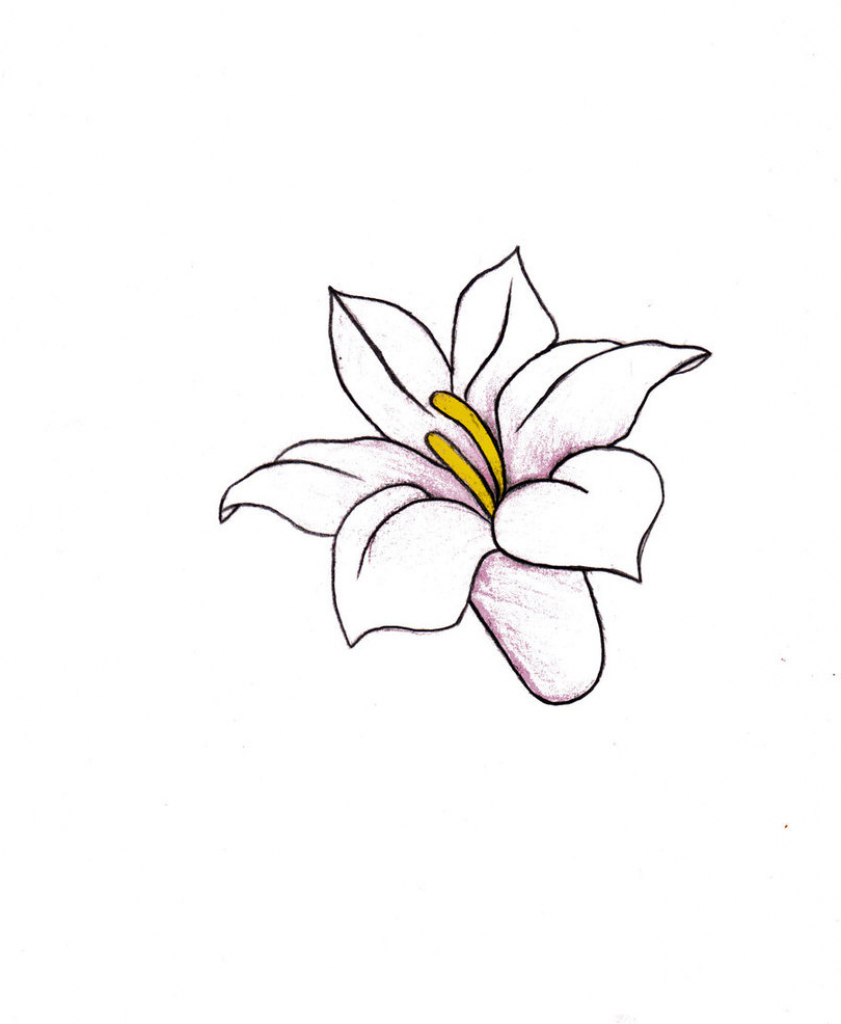 841x1024 Photos Drawing Small Flowers,