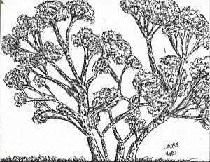 300x231 Gel Pen Drawings Fine Art America