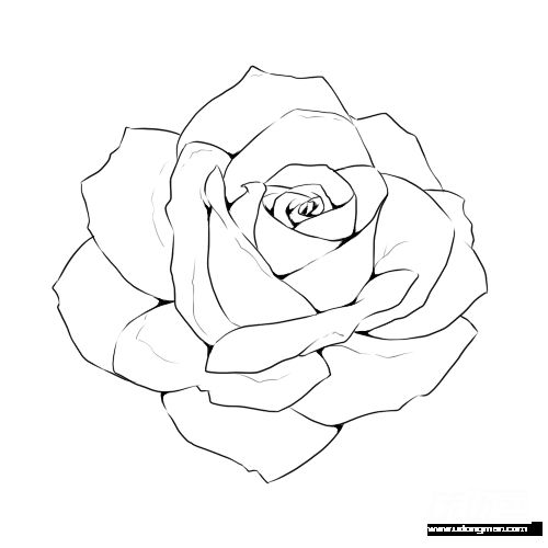 500x500 The Best Flower Line Drawings Ideas On Flower