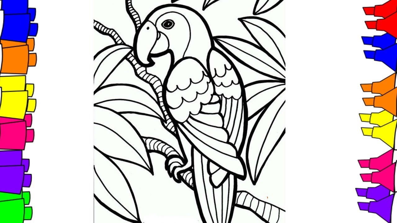 1280x720 How To Draw Step By Step Bird Coloring Pages For Kids , Parrot