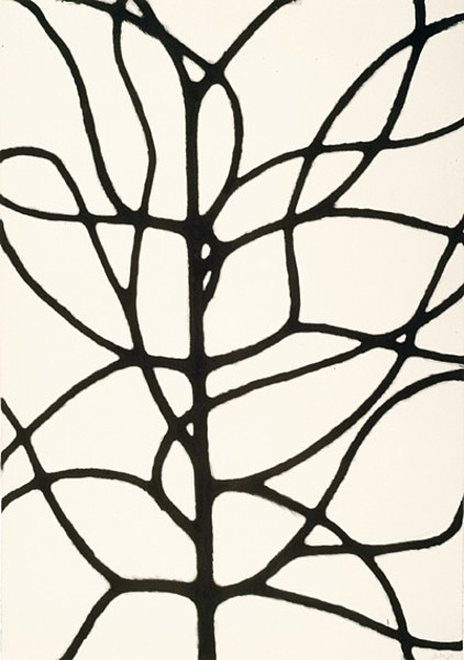 422x600 Linie Line Linea