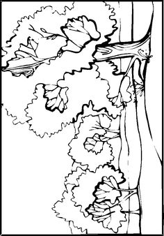 236x338 Mountain Coloring Page Children Coloring Pages Printable