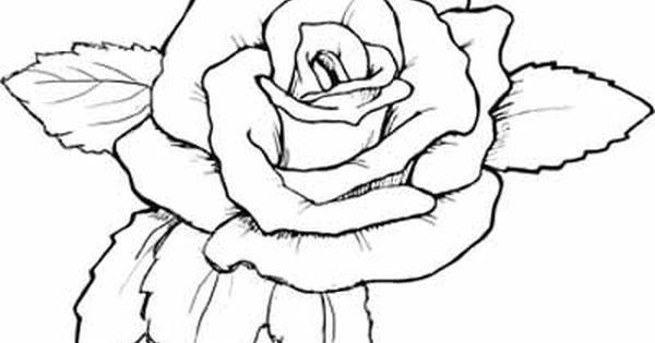 600x315 Coloring Page Of A Rose Rose Coloring Pages With Subtle Shapes