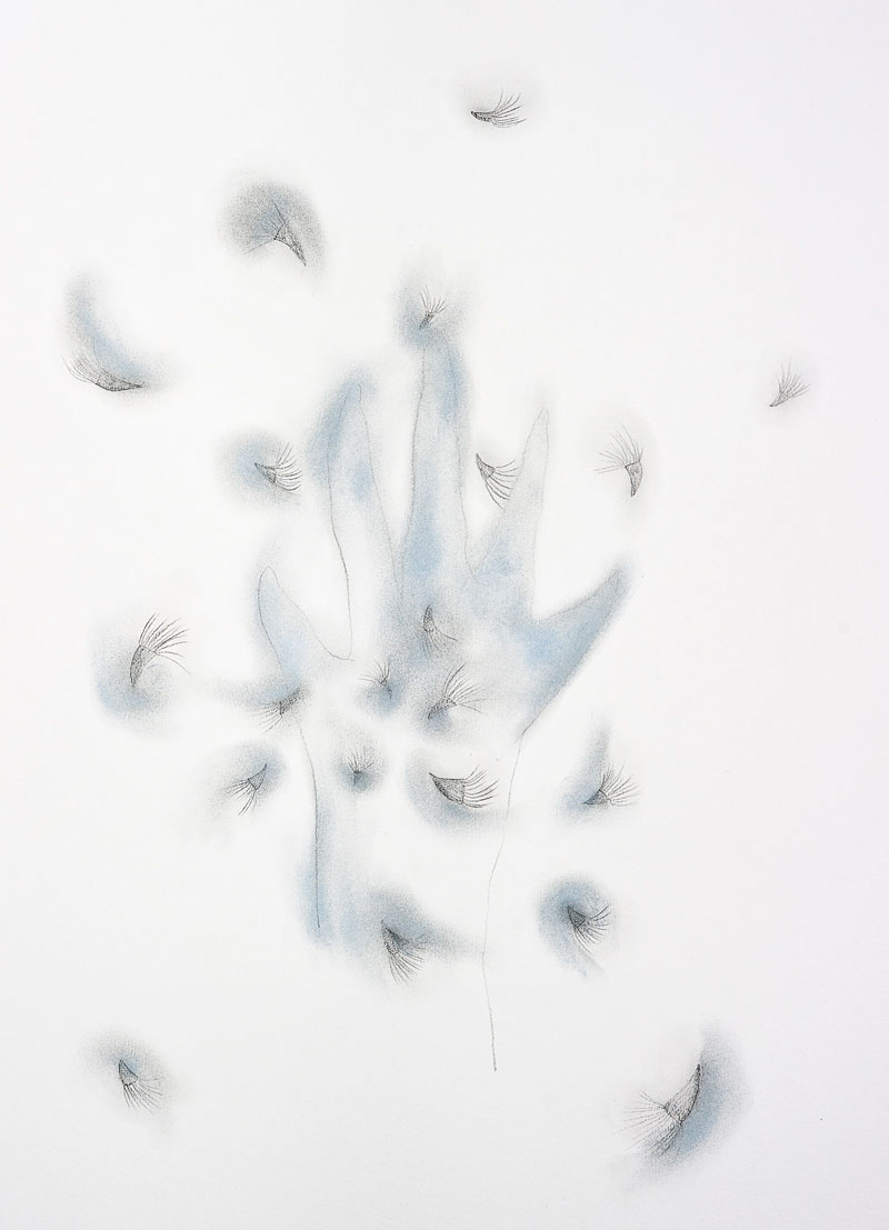 800x1107 Drawings. Punti Di Vista