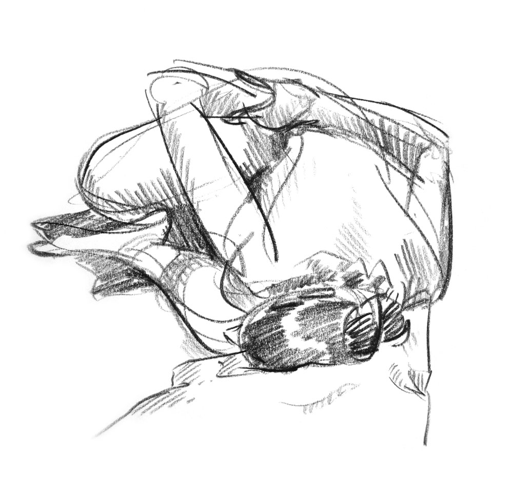 1000x932 Sketching Page 4 Aj Aiken