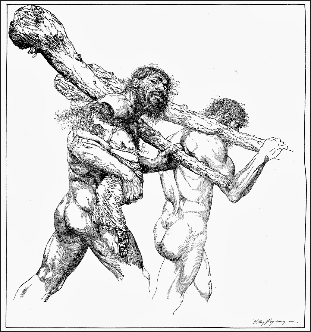 1032x1102 The Golden Age Drawing With Pen And Ink Illustrations World