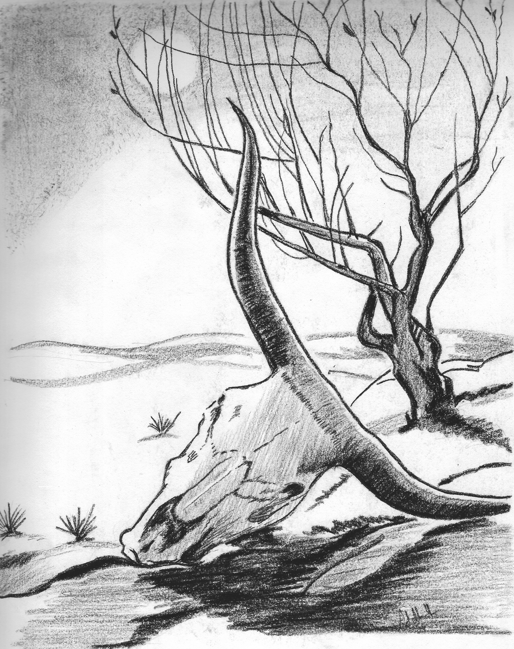 1643x2073 December 2009 Light And Shade