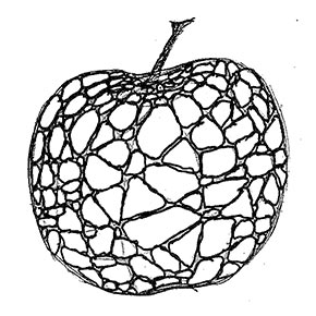 290x290 Apply Textures To Apples. Art Lesson.