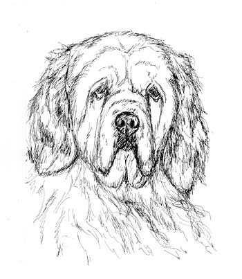 350x403 3 Different Dog Sketches Xpost