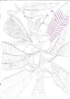 236x332 Outline Drawing Course Module Completed! Watercolour Journey By