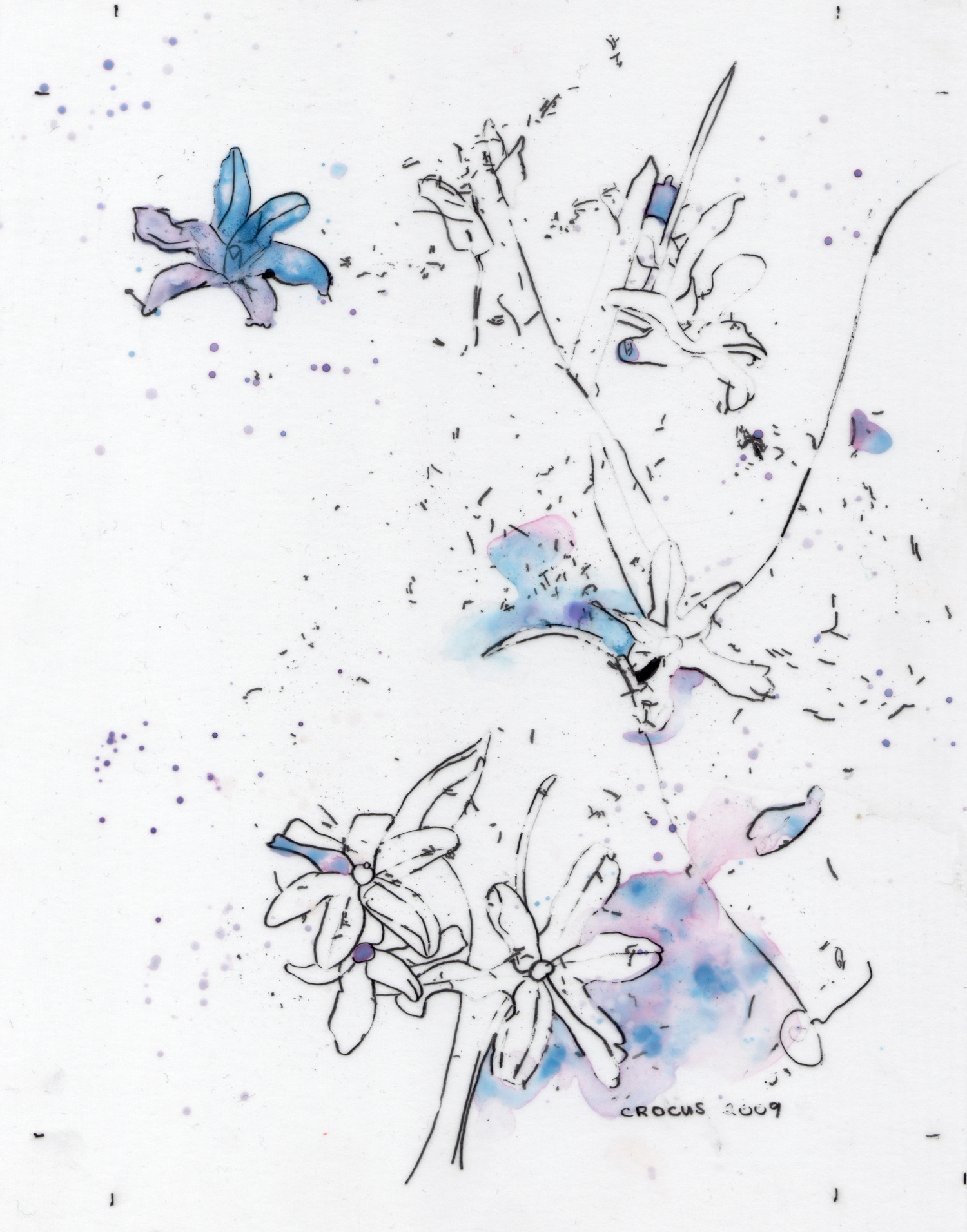 1500x1912 Pam Lostracco