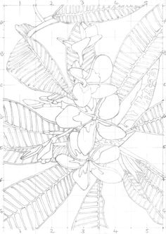 236x333 This Week I Completed The First Module Of My Portraiture