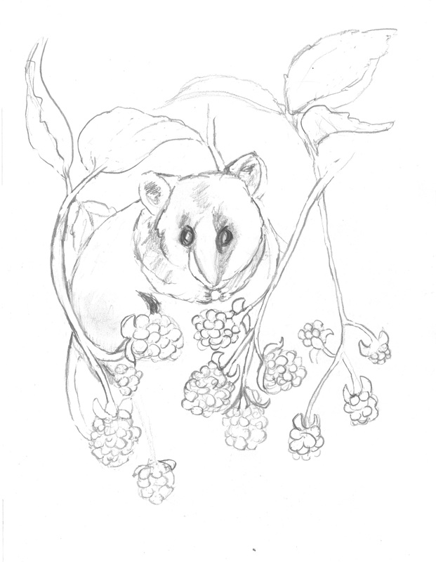 621x800 Inspiritimages