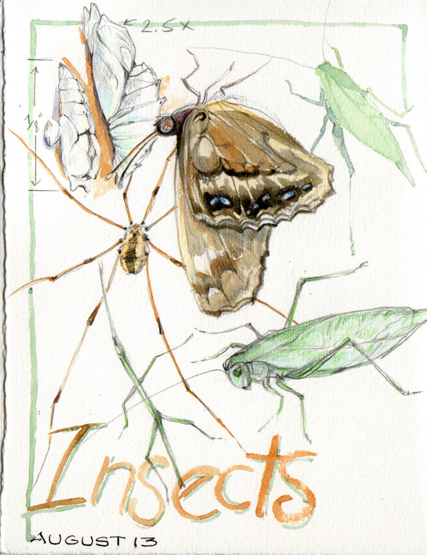 616x800 Artists' Journal Workshop August 2011