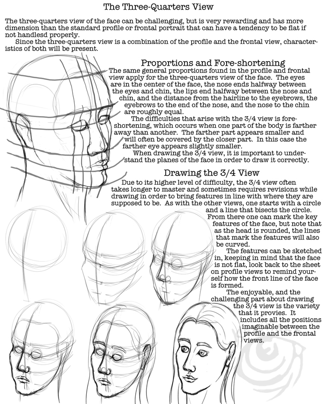 640x800 Facial Proportions Worksheet 4 By Lantairvlea Portraiture