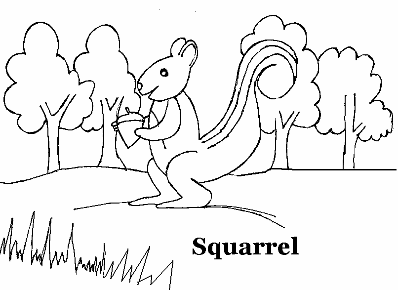 806x587 Squirrel Coloring Printable Page For Kids