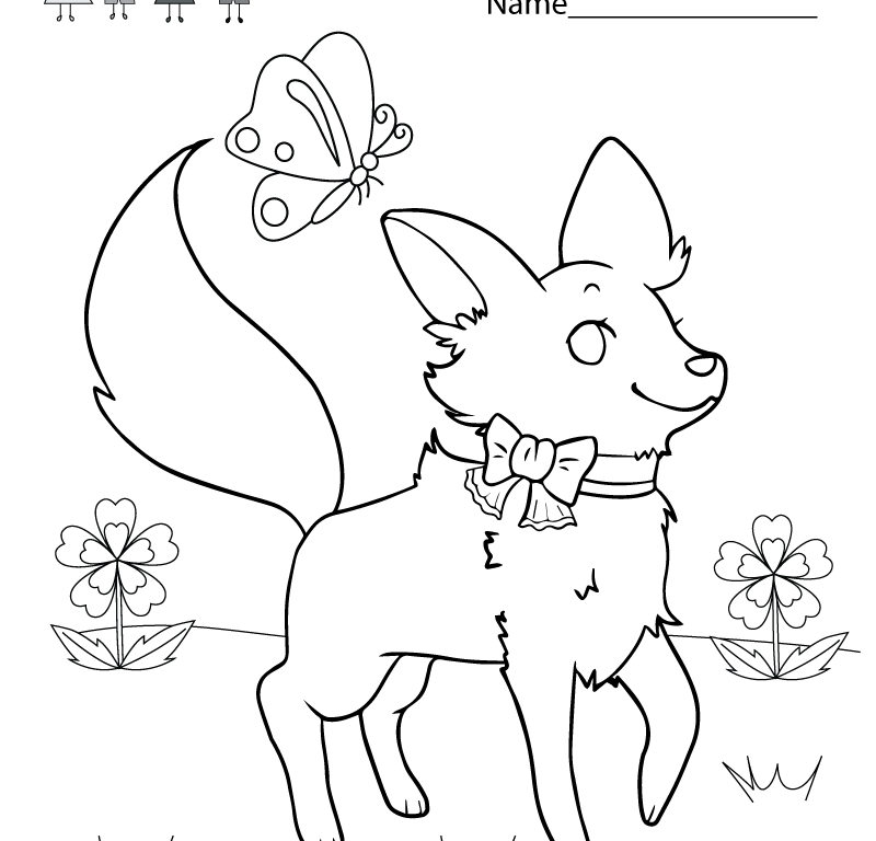 800x768 Color Activity Sheets School Printable For Kindergarten