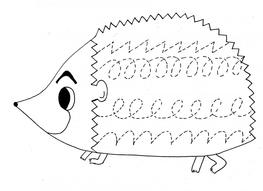 900x654 Hedgehog Trace Worksheet Crafts And Worksheets For Preschool