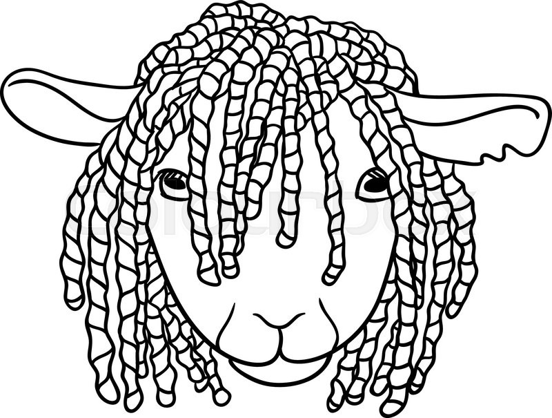 800x605 Sheep With Dreadlocks, Vector Illustration On A White Background