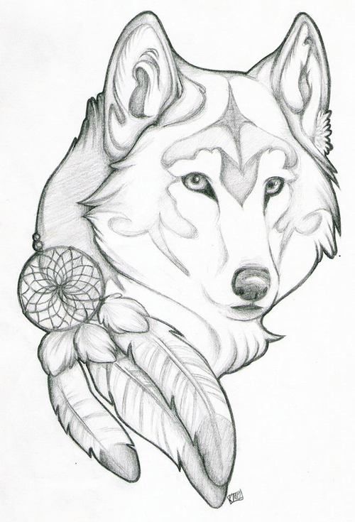 500x735 The Best Dream Catcher Wolf Tattoo Ideas On Dream