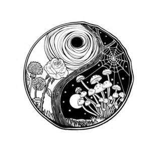 300x300 Dream Catcher Tumblr Quotes