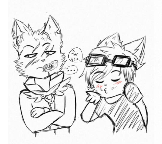 540x480 The Dream Catchers Tumblr