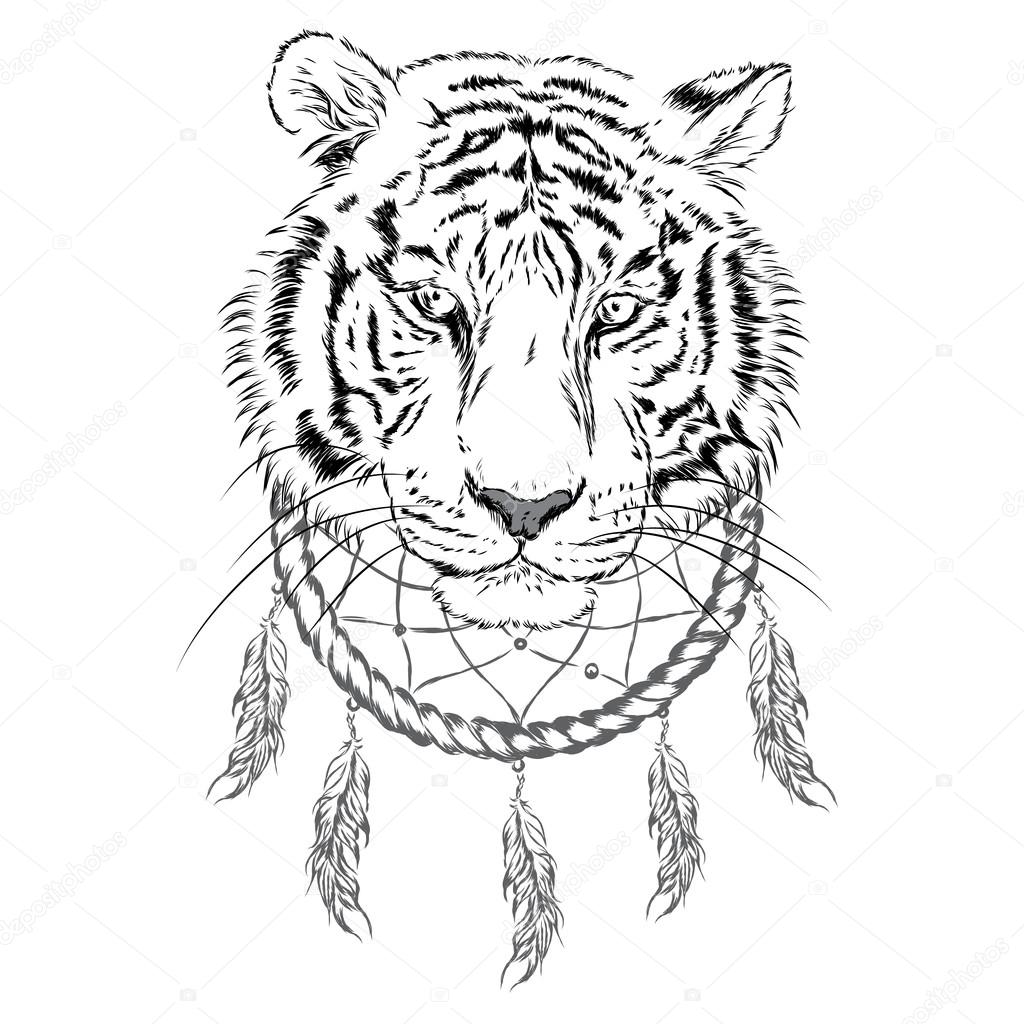 1024x1024 Tiger And Dreamcatcher. Vector Illustration. Stock Vector