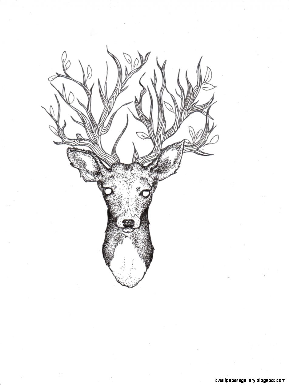 952x1265 Deer Drawing Tumblr Wallpapers Gallery